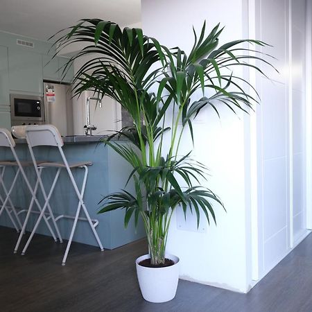 Vivienda Vacacional El Cabo Вальверде Экстерьер фото
